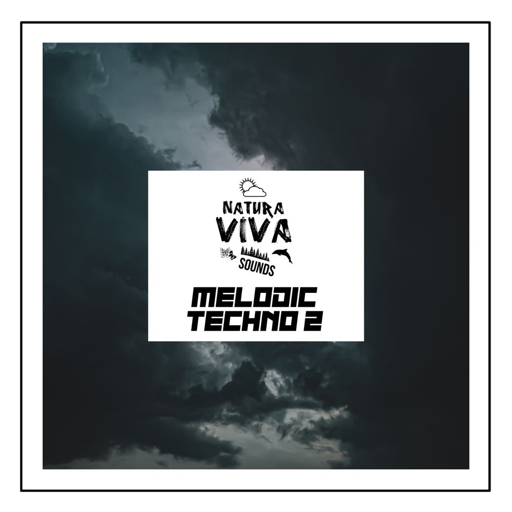 Arte de Natura Viva Sounds - Melodic Techno 2