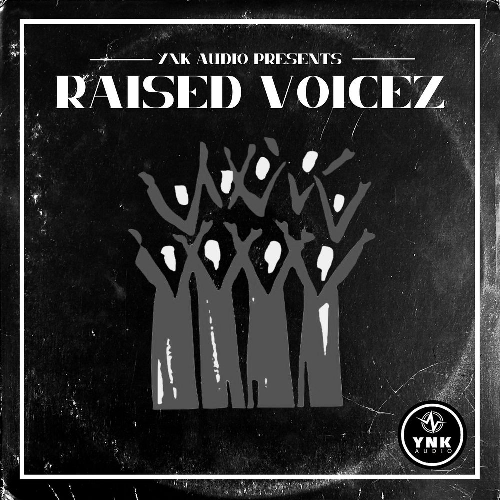 Arte de Raised Voicez