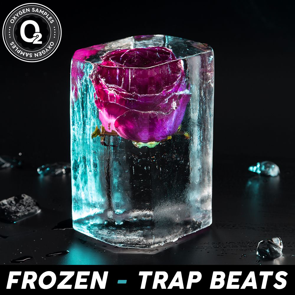 Pochette de Frozen - Trap Beats