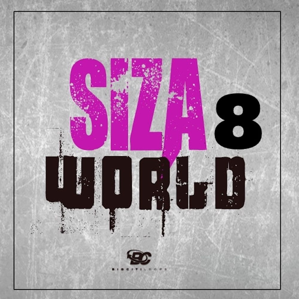 Arte de Siza World 8