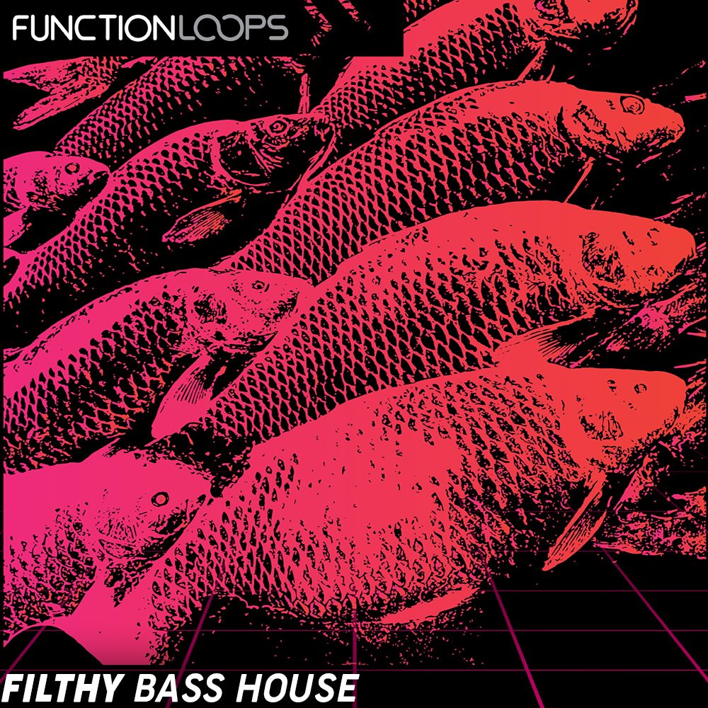 Pochette de Filthy Bass House