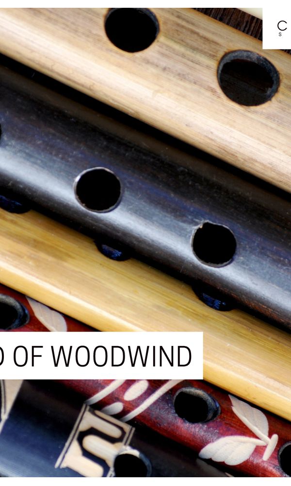 Artwork for World Of Woodwind