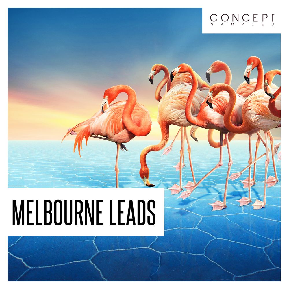 Arte de Melbourne Leads