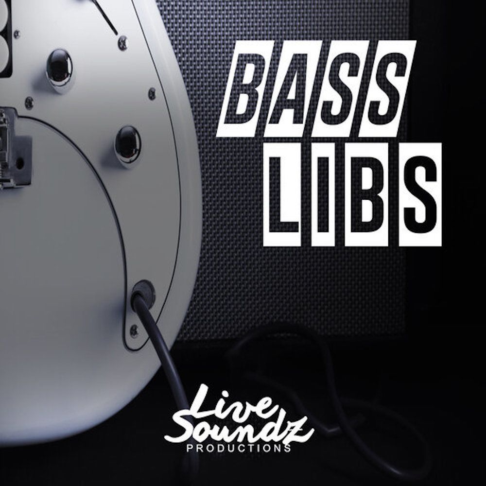 Artwork of Bass Libs