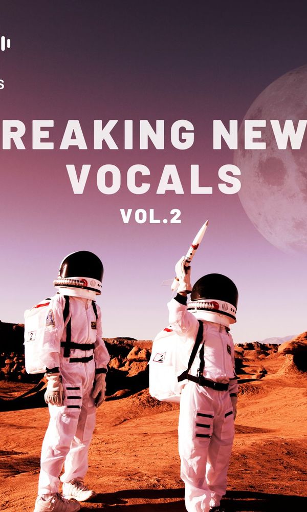Artwork for Breaking News Vocals vol.2