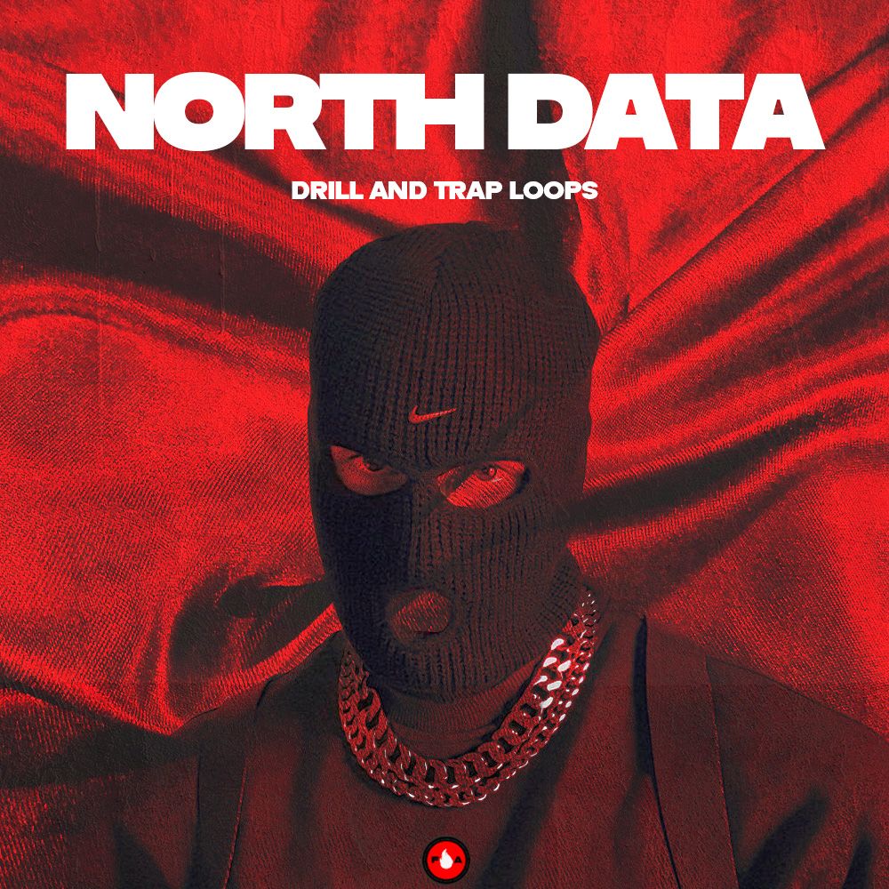 Pochette de NORTH DATA