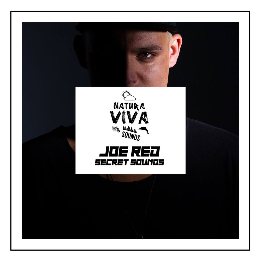 Pochette de Joe Red Secret Sounds