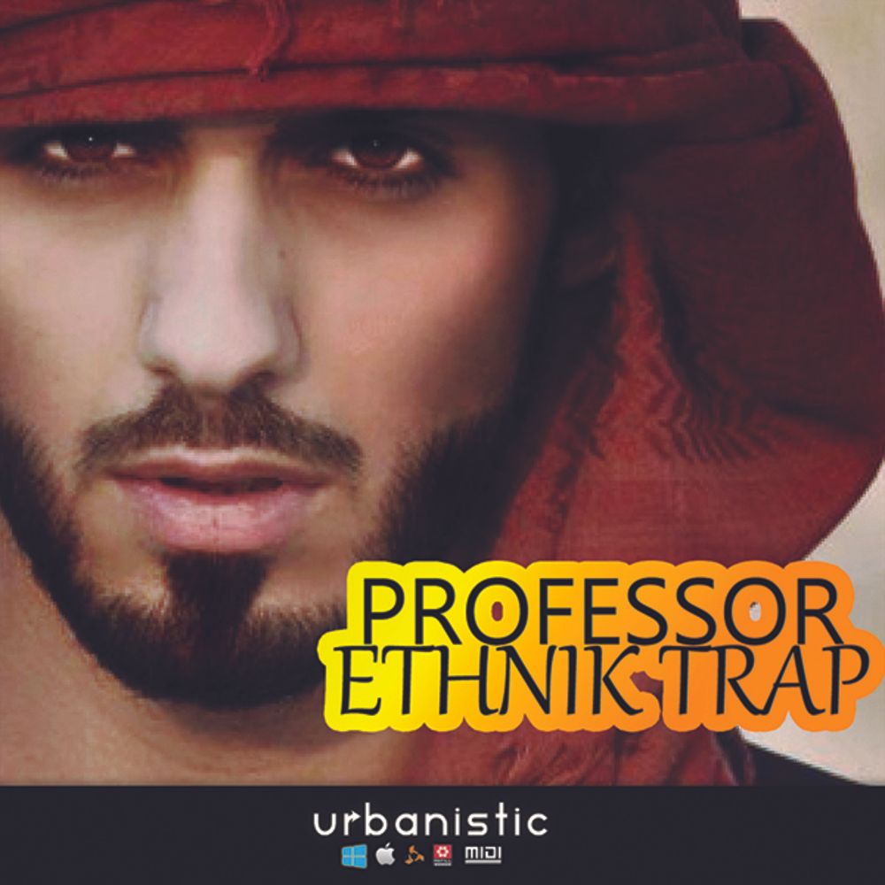 Cover of Professor Ethnik Trap