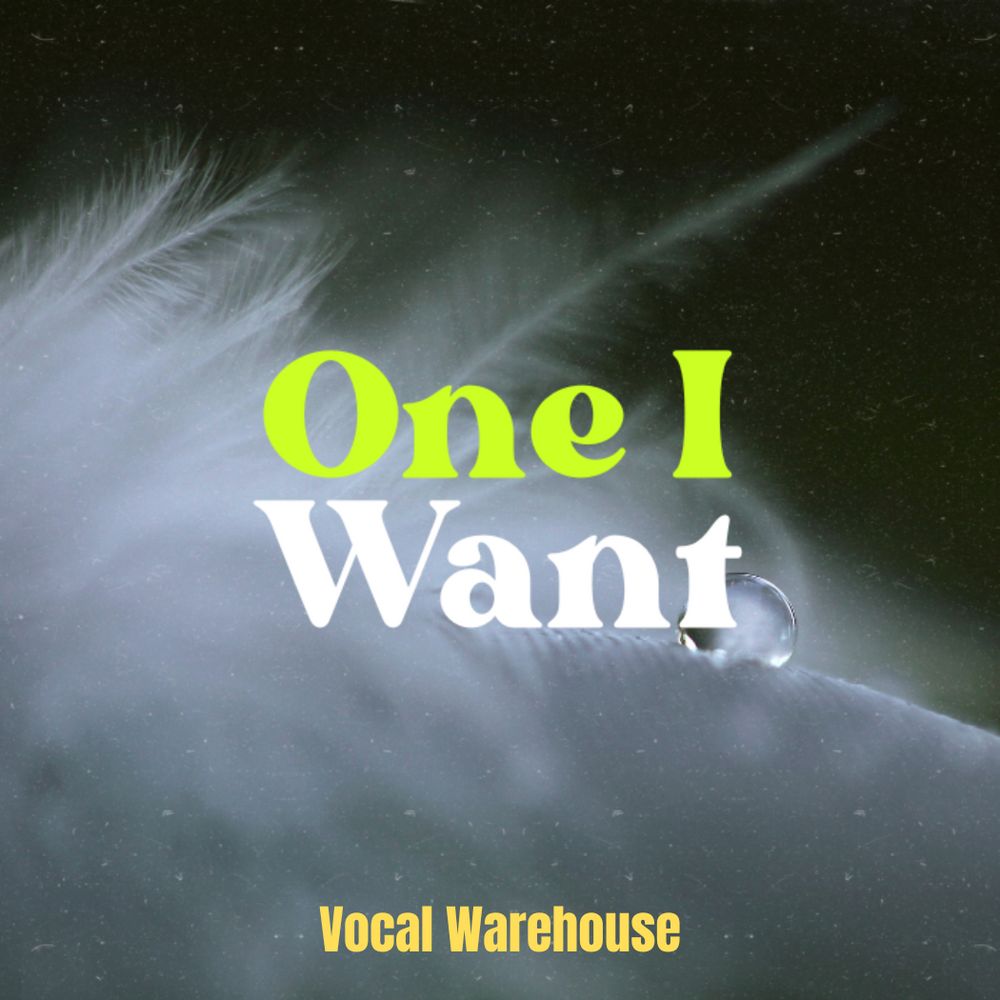 Arte de One I Want - Vocal Pack