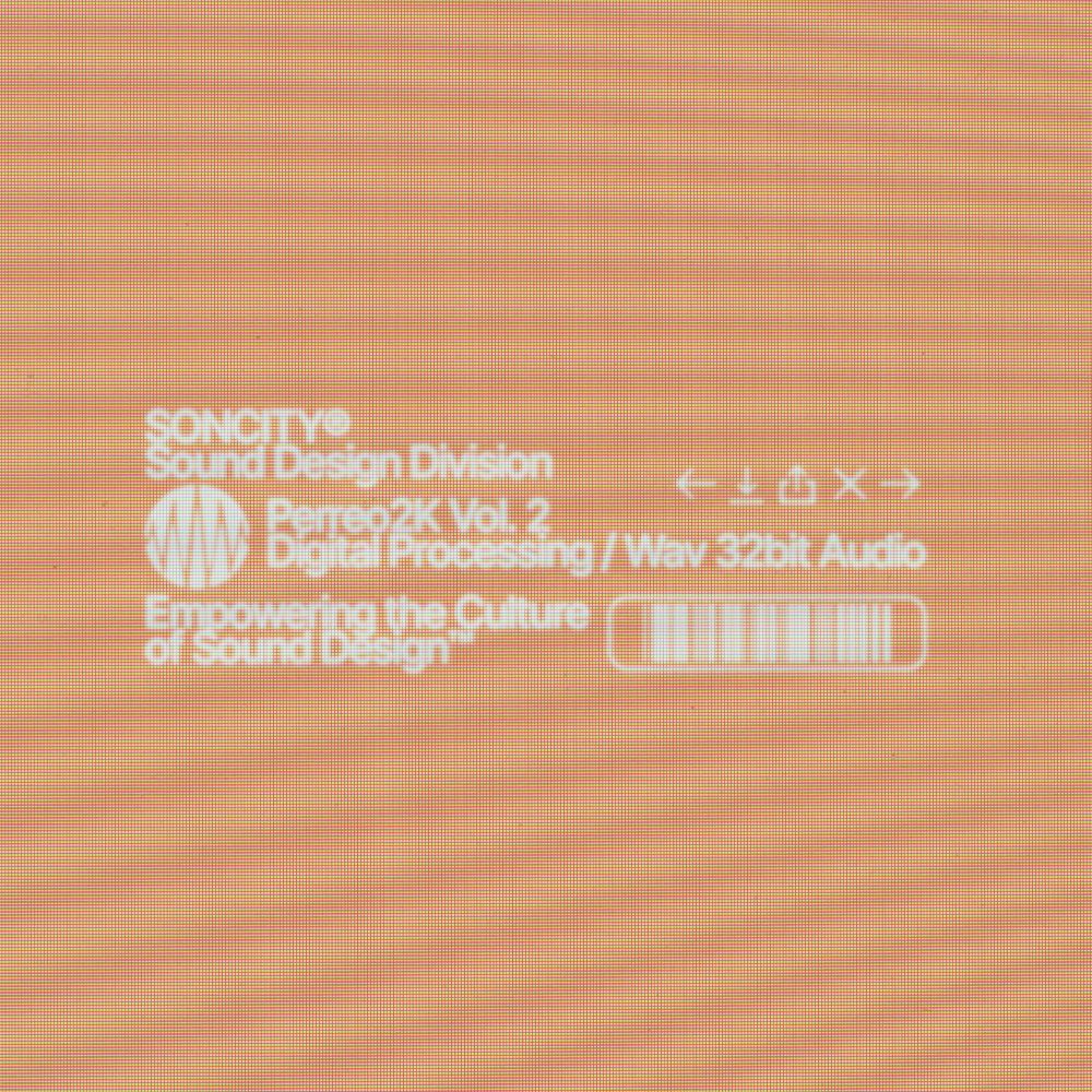 Pochette de PERREO2K 2