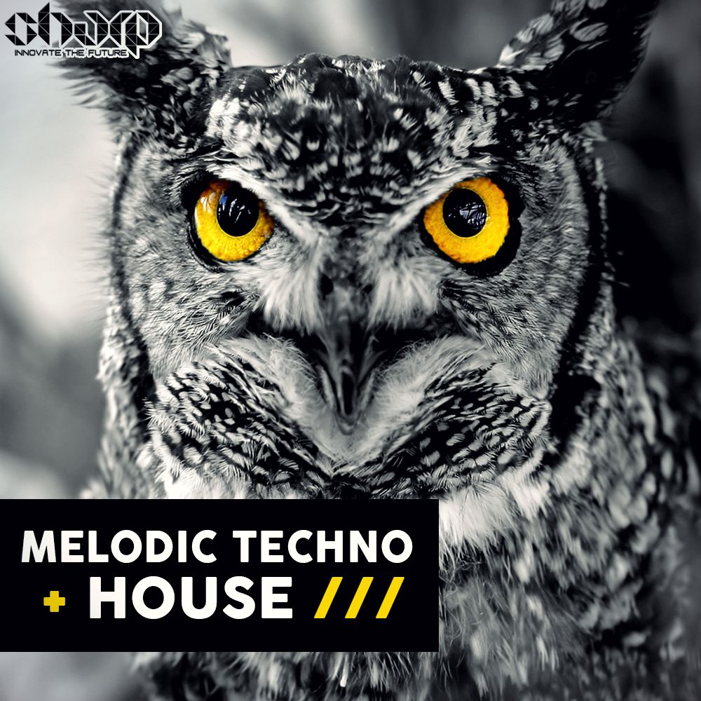 Pochette de Melodic Techno & House