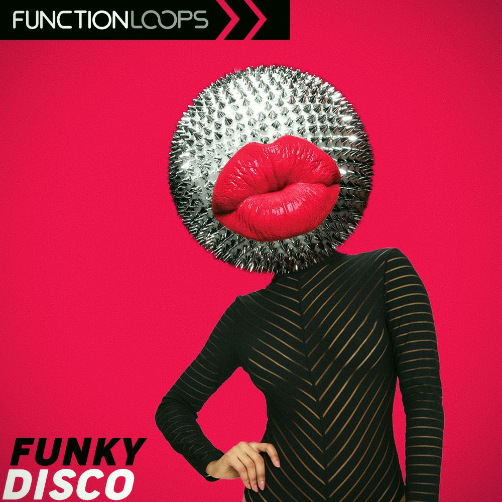 Artwork for  Funky Disco