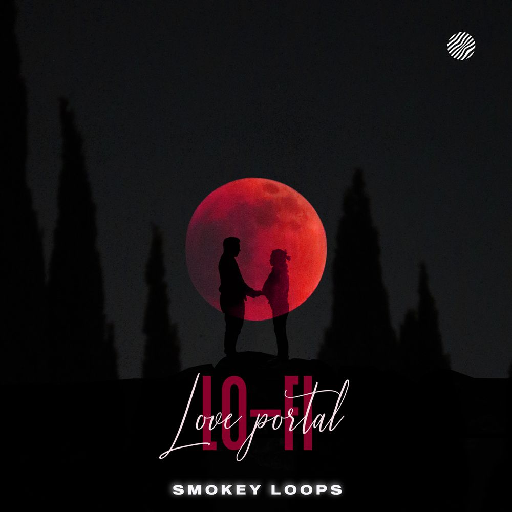 Pochette de Lo Fi Love Portal