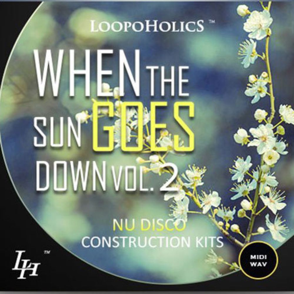 Arte de When The Sun Goes Down Vol 2: Nu Disco Kits