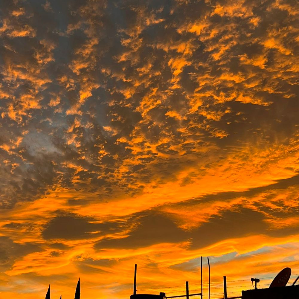 Arte de SUNSET Vol.1