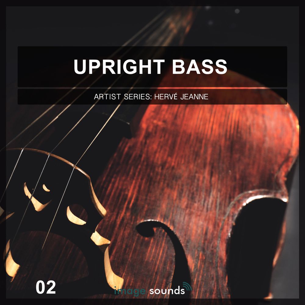Upright Bass 2 Sample Pack LANDR Samples
