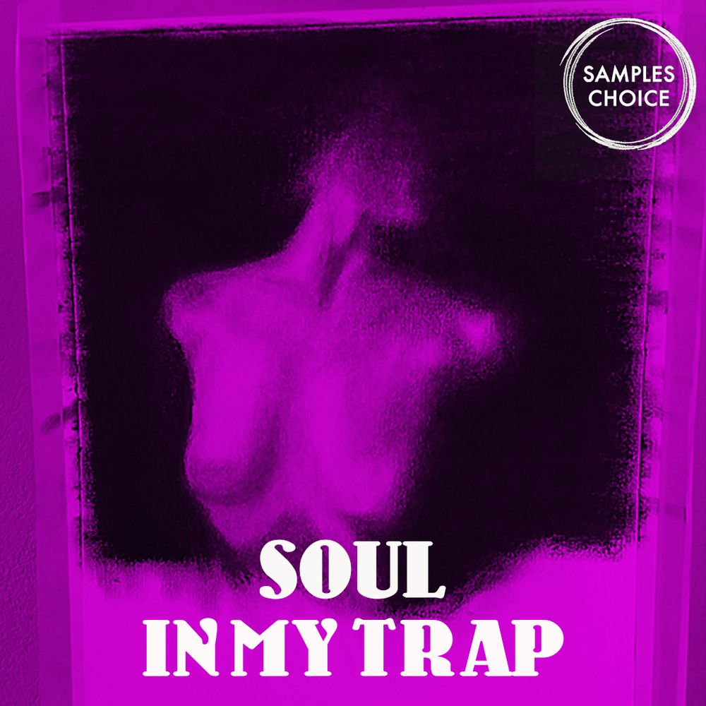 Pochette de Soul In My Trap