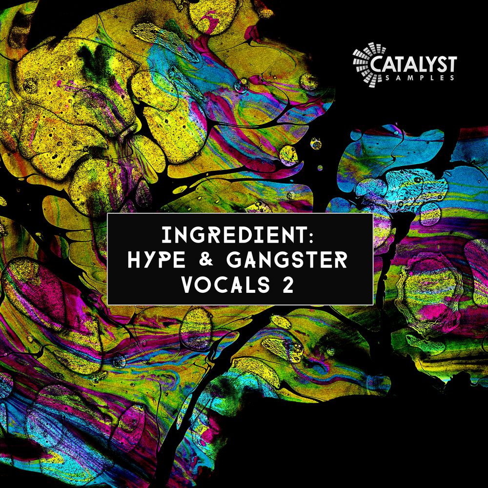 Arte de Hype & Gangster Vocals 2