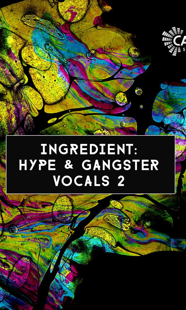 Artwork for Hype & Gangster Vocals 2