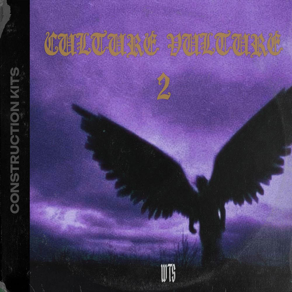 Pochette de CULTURE VULTURE 2