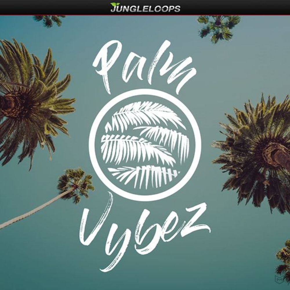 Pochette de Palm Vybez