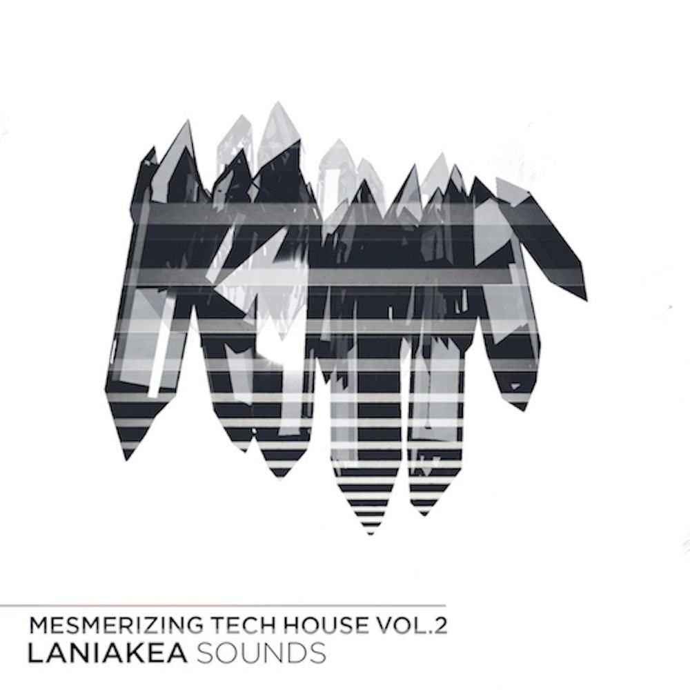 Pochette de Mesmerizing Tech House Vol. 2