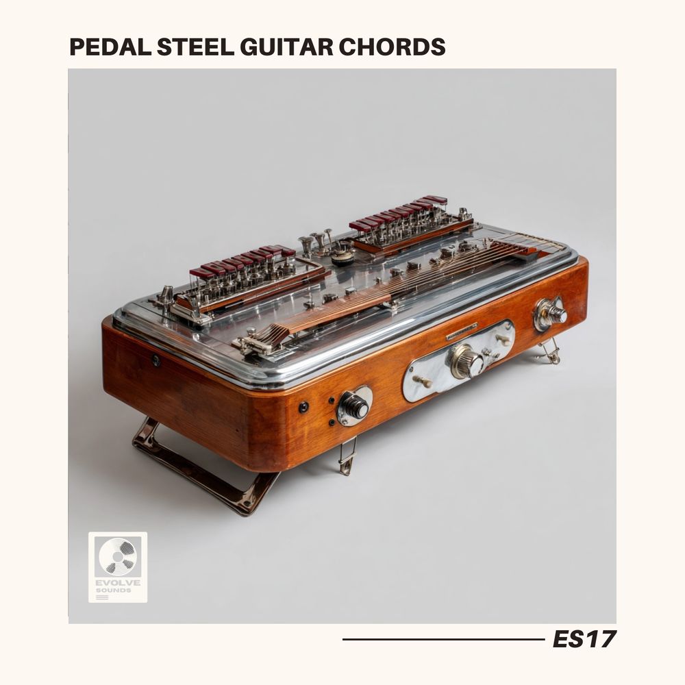 Arte de Pedal Steel Guitar Chords