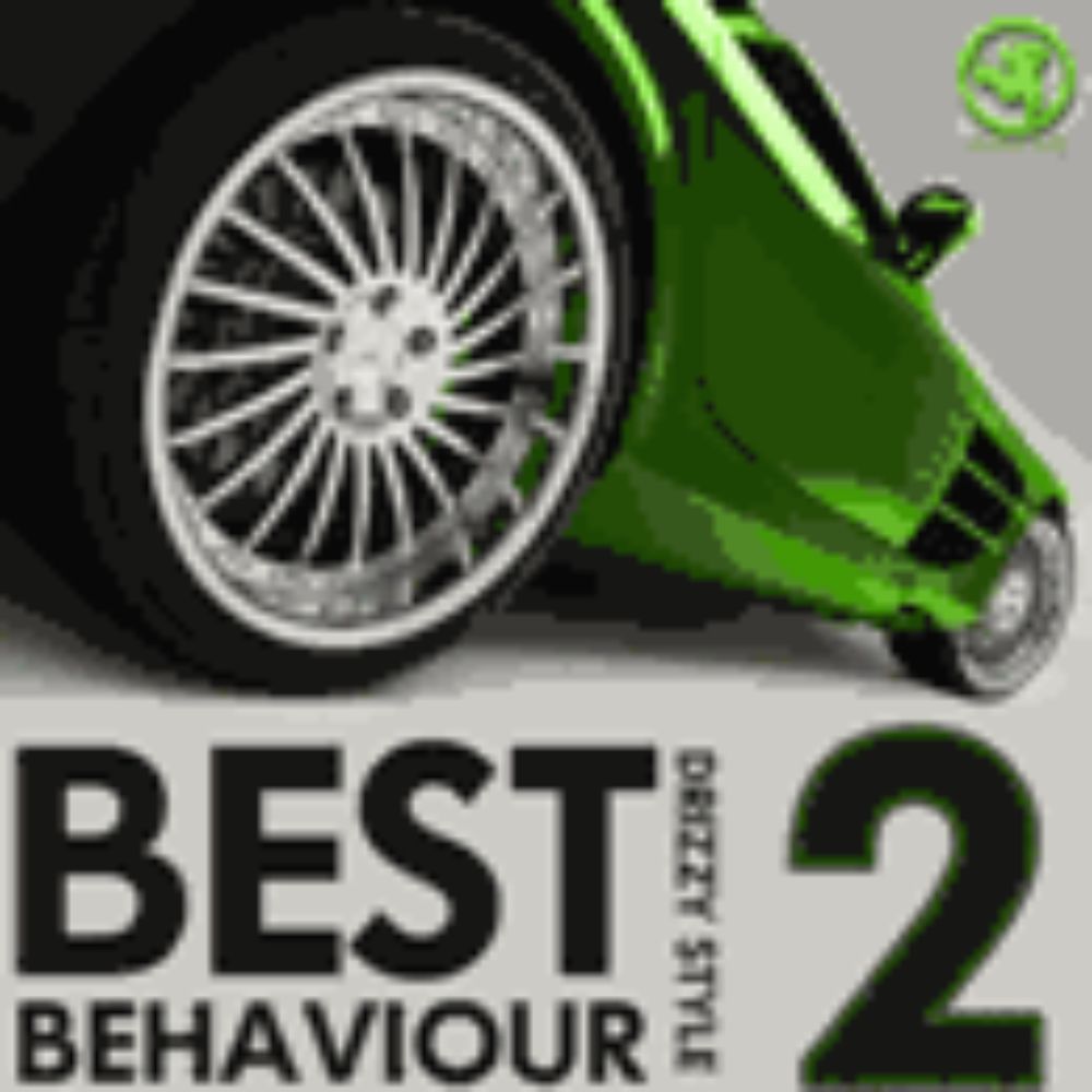 Arte de Best Behaviour 2
