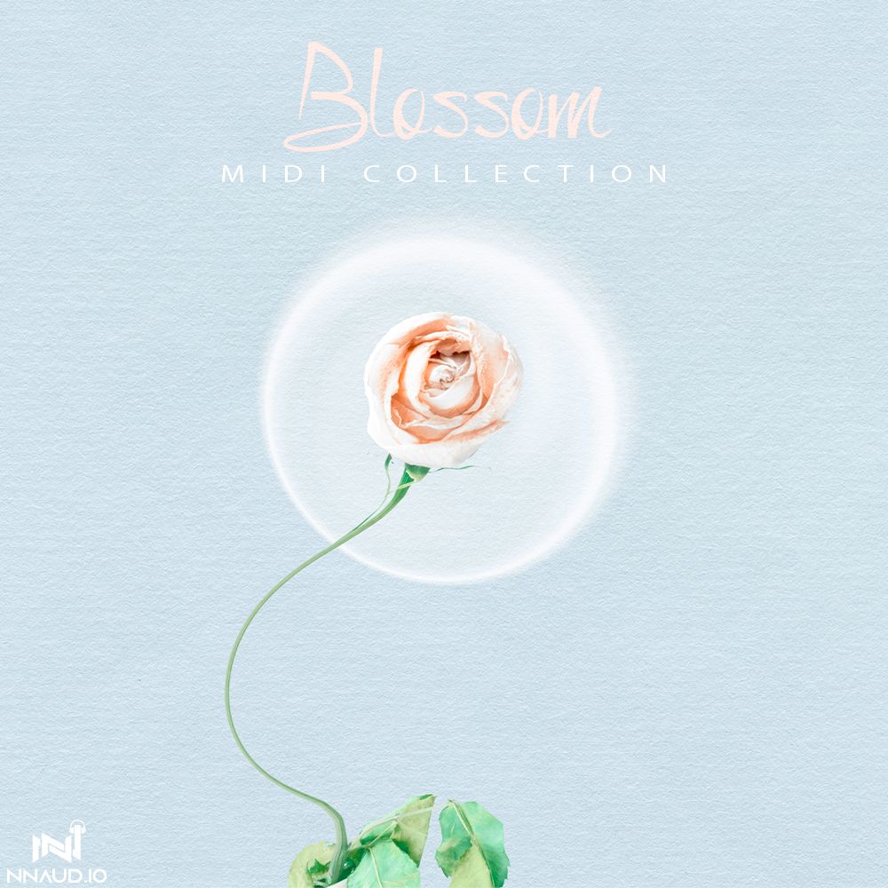 Arte de Blossom