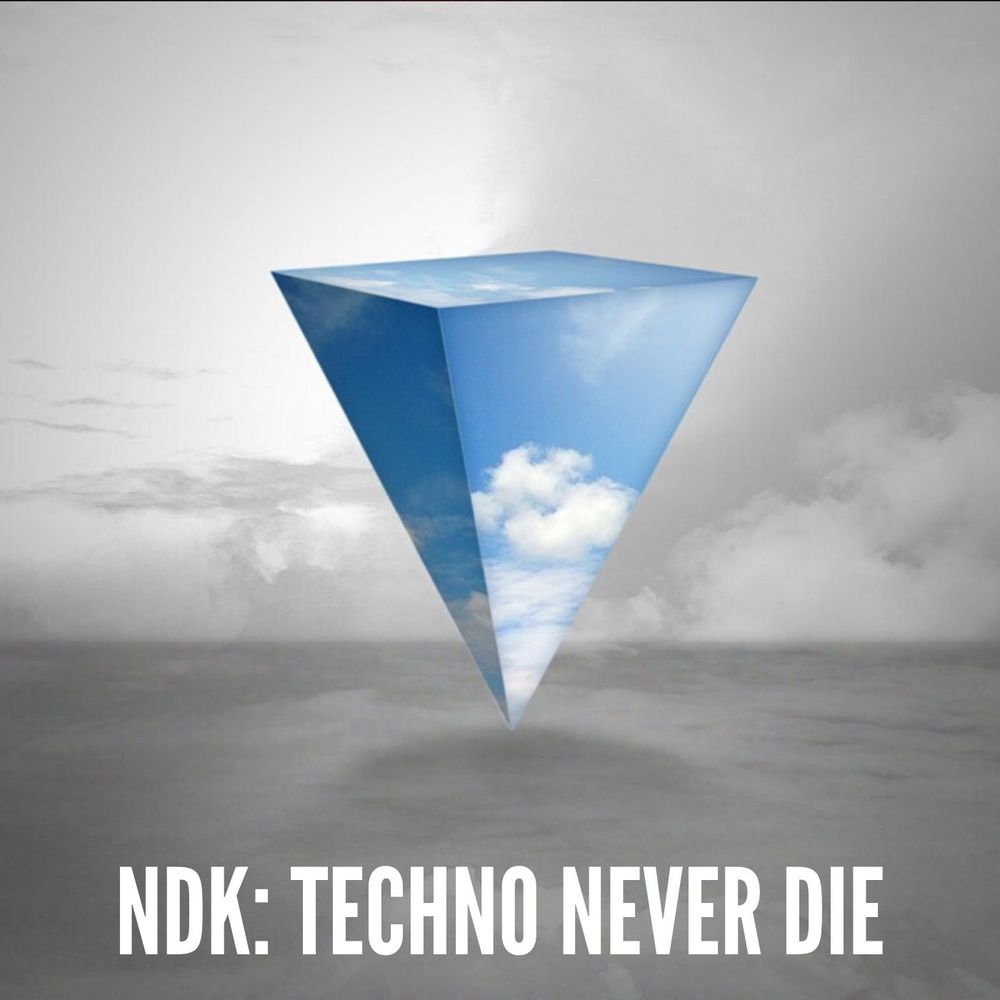 Pochette de Techno Never Die