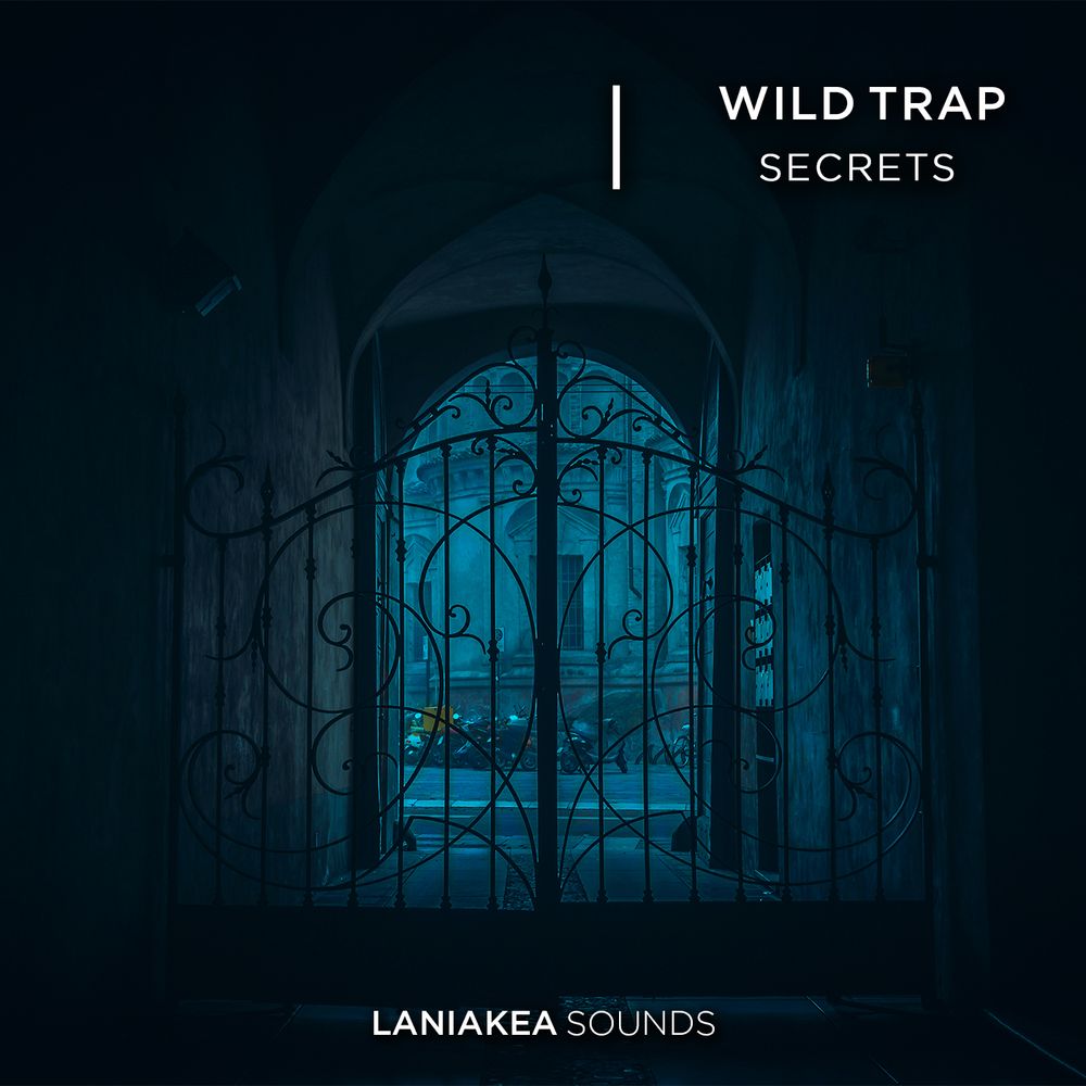 Pochette de Wild Trap Secrets