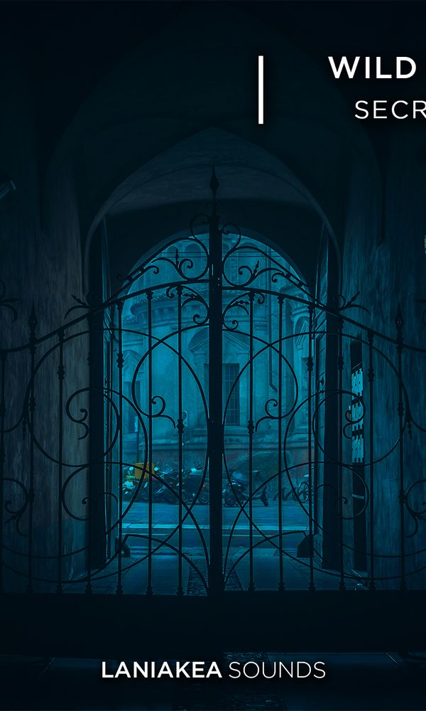 Artwork for Wild Trap Secrets