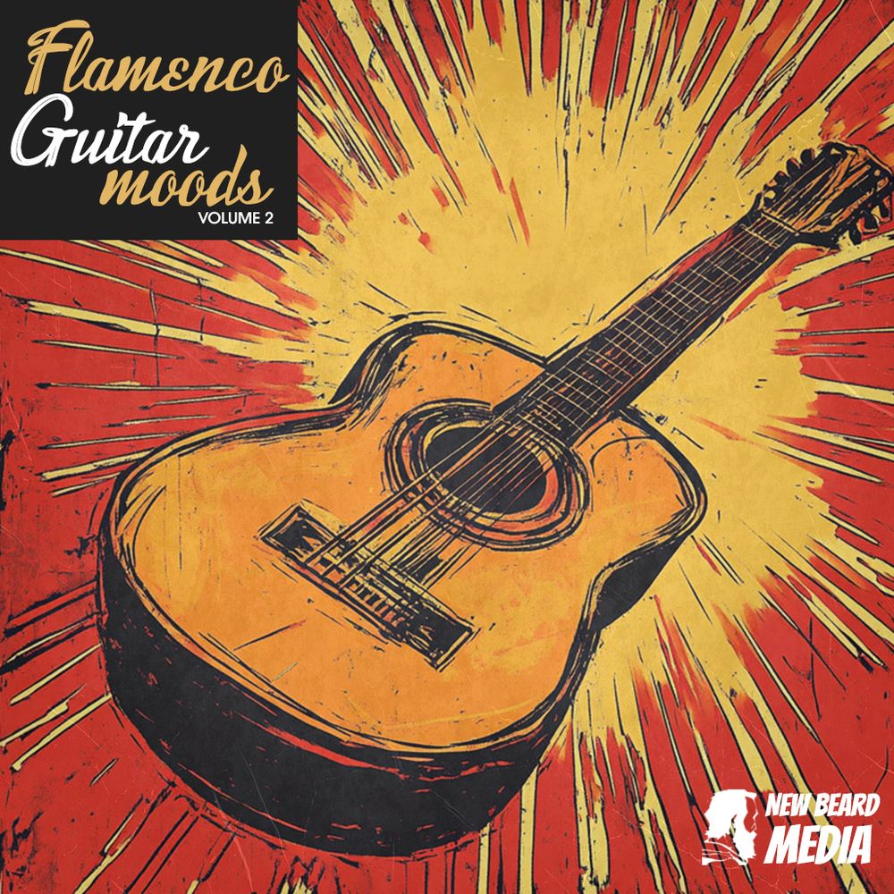 Pochette de Flamenco Guitar Moods Vol 2