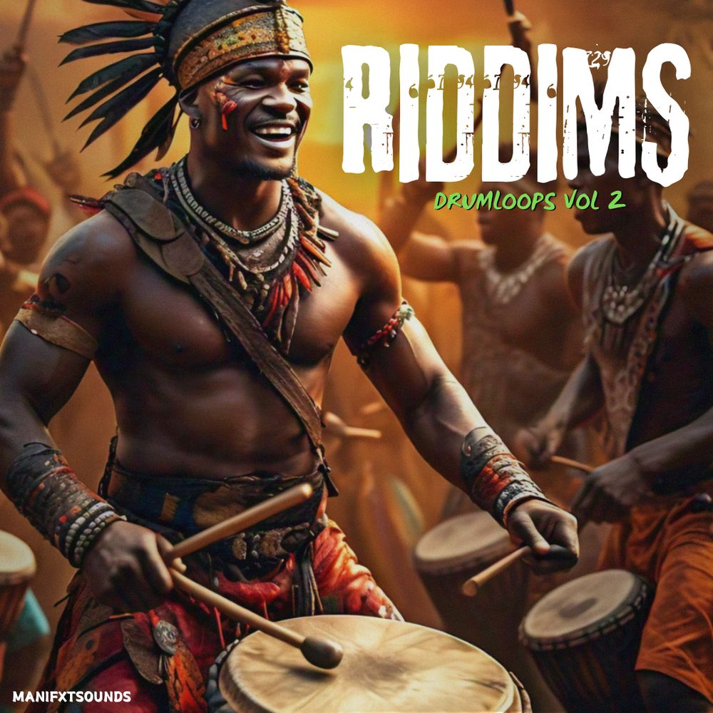 Pochette de RIDDIMS Drum Loops Vol 2