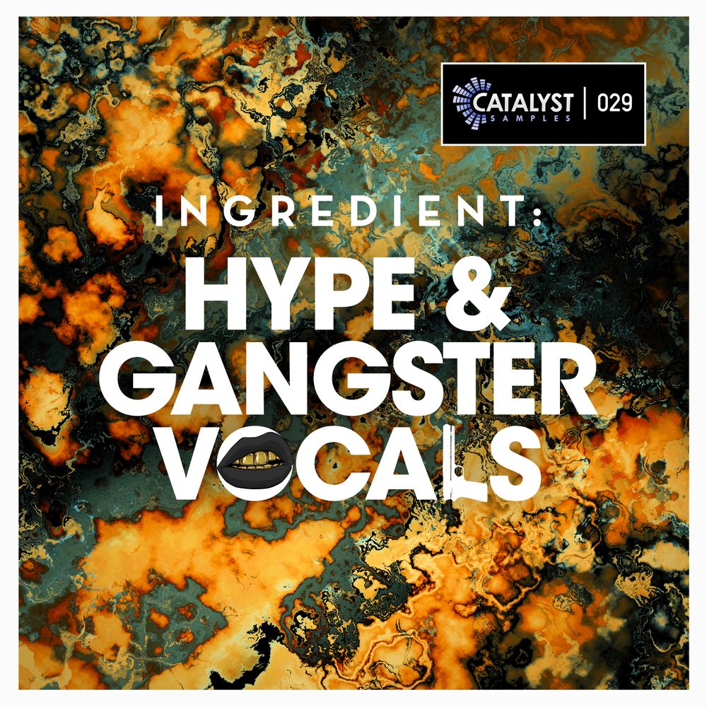 Pochette de Hype & Gangster Vocals