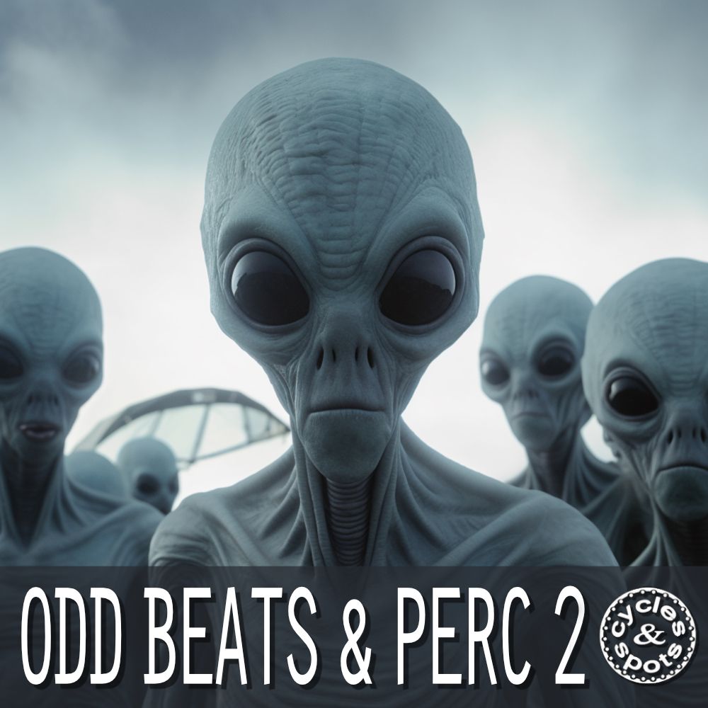 Pochette de Odd Beats & Perc 2
