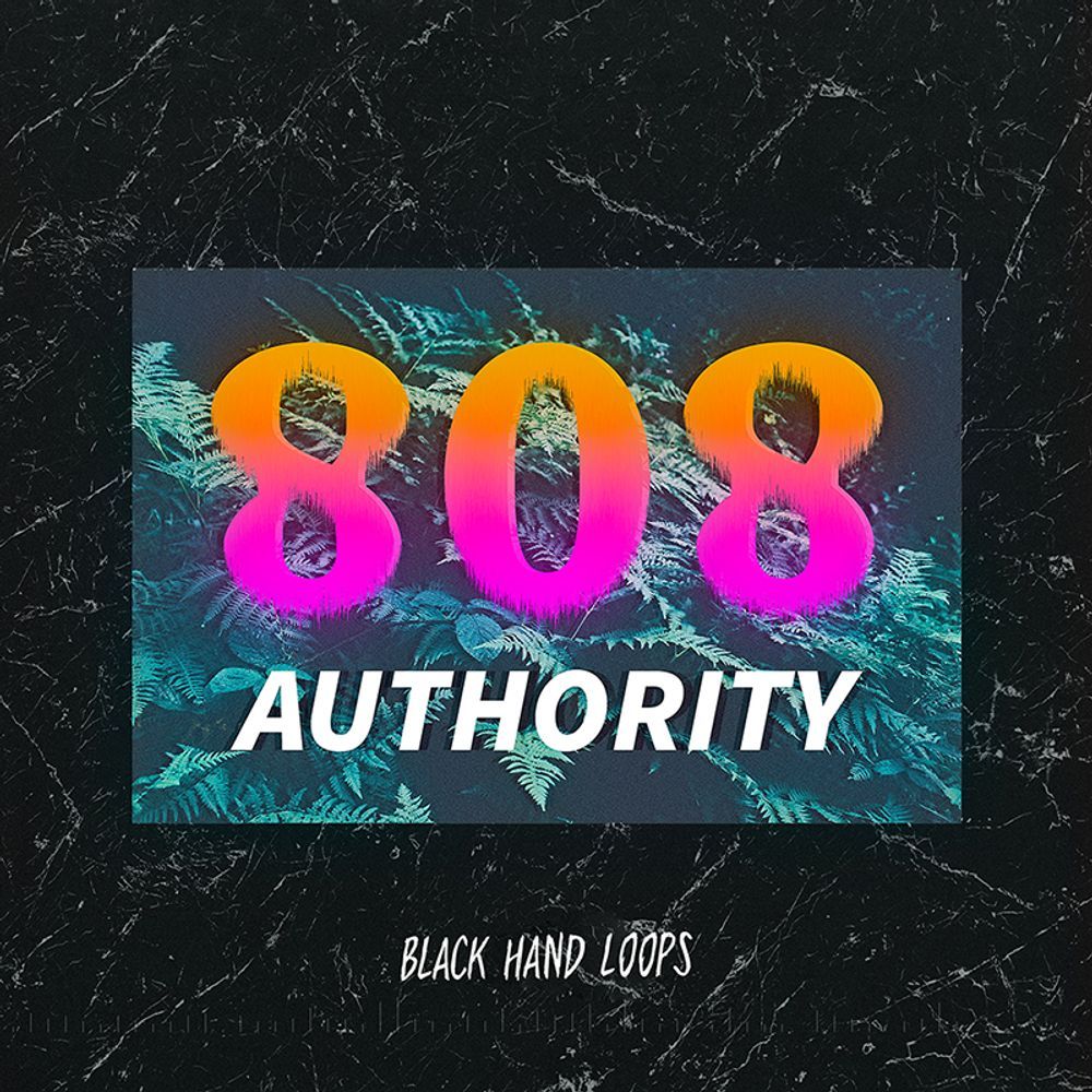 Pochette de 808 Authority