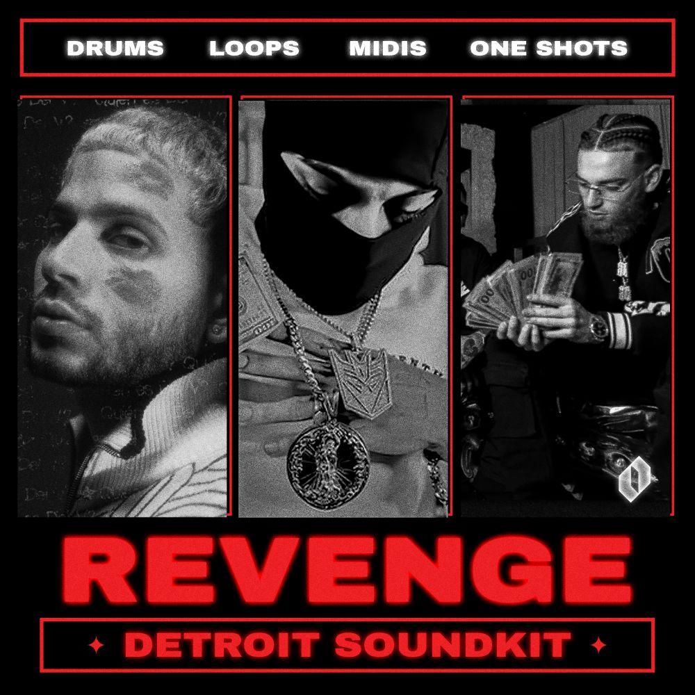 Pochette de REVENGE