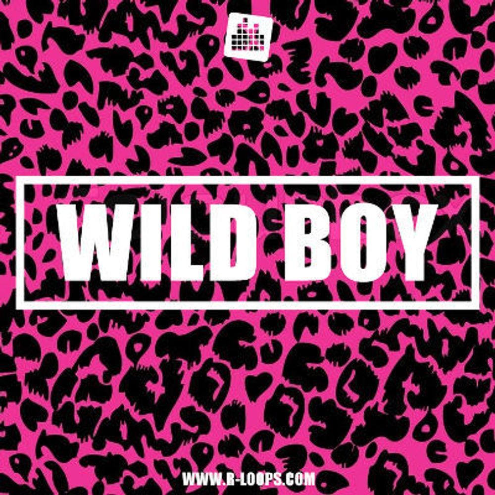 Obra de arte de Wild Boy