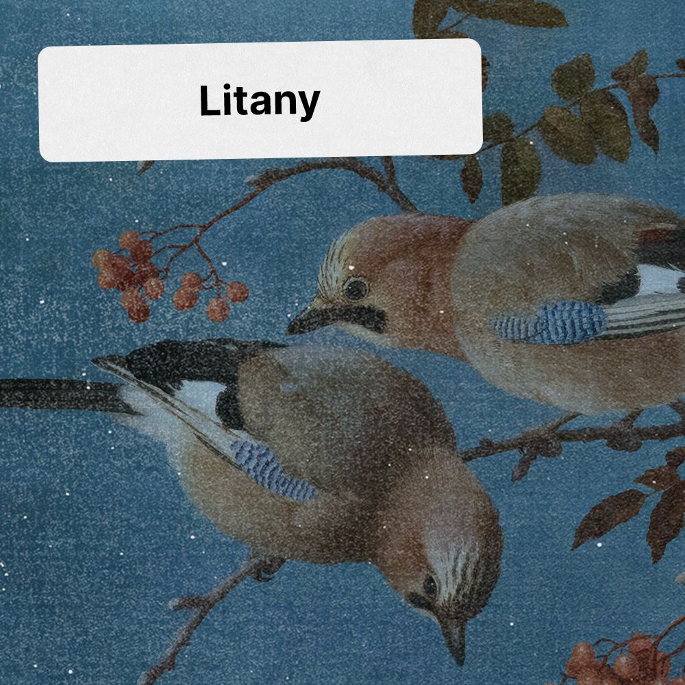 Artwork for Litany