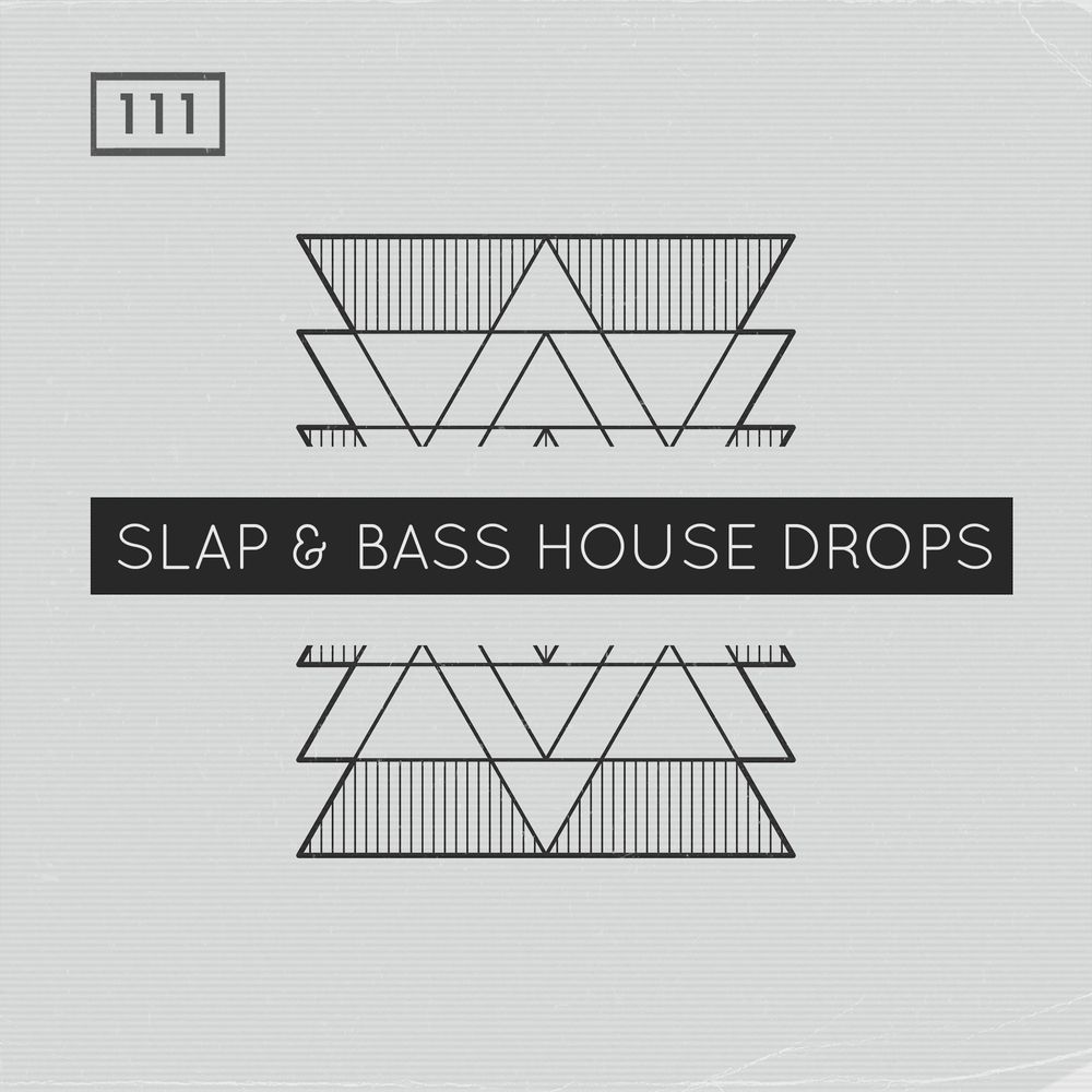 Arte de Slap & Bass House Drops