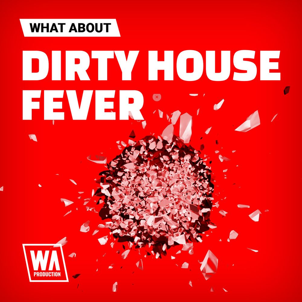 Pochette de What About: Dirty House Fever