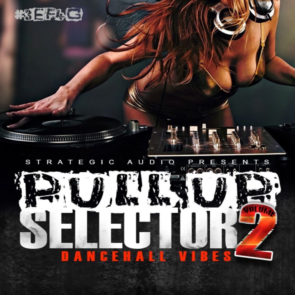 Pochette de Pull Up Selector: Dancehall Vibes Vol 2
