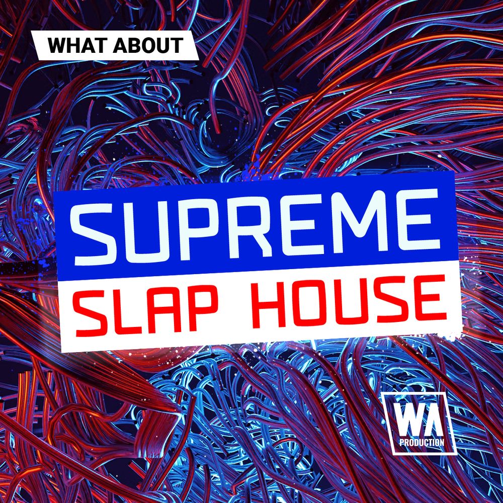 Pochette de What About Supreme Slap House