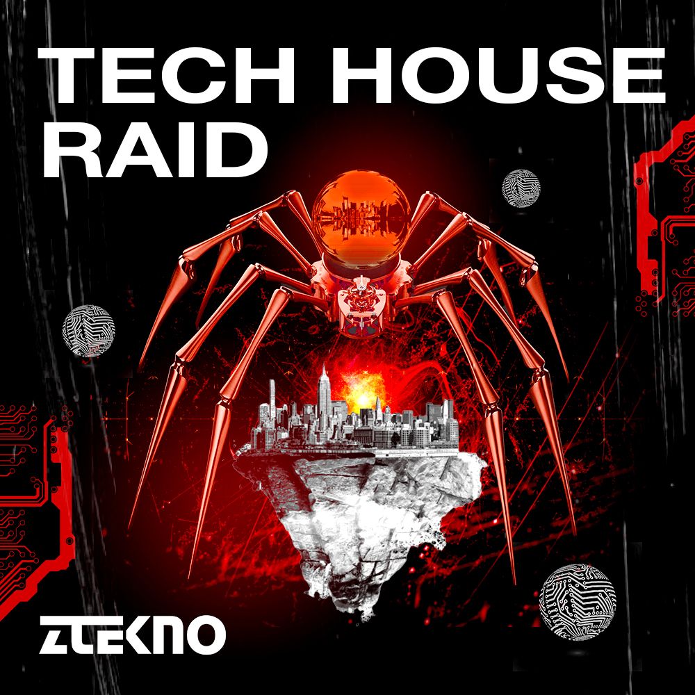 Arte de TECH HOUSE RAID