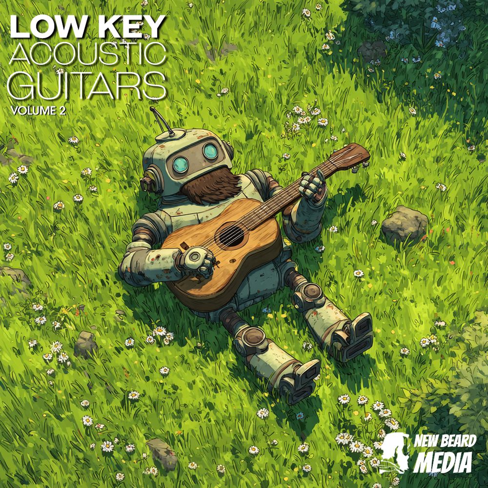 Artwork of Low Key Acoustic Guitars Vol 2