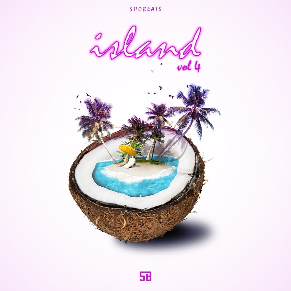 Pochette de Island 4