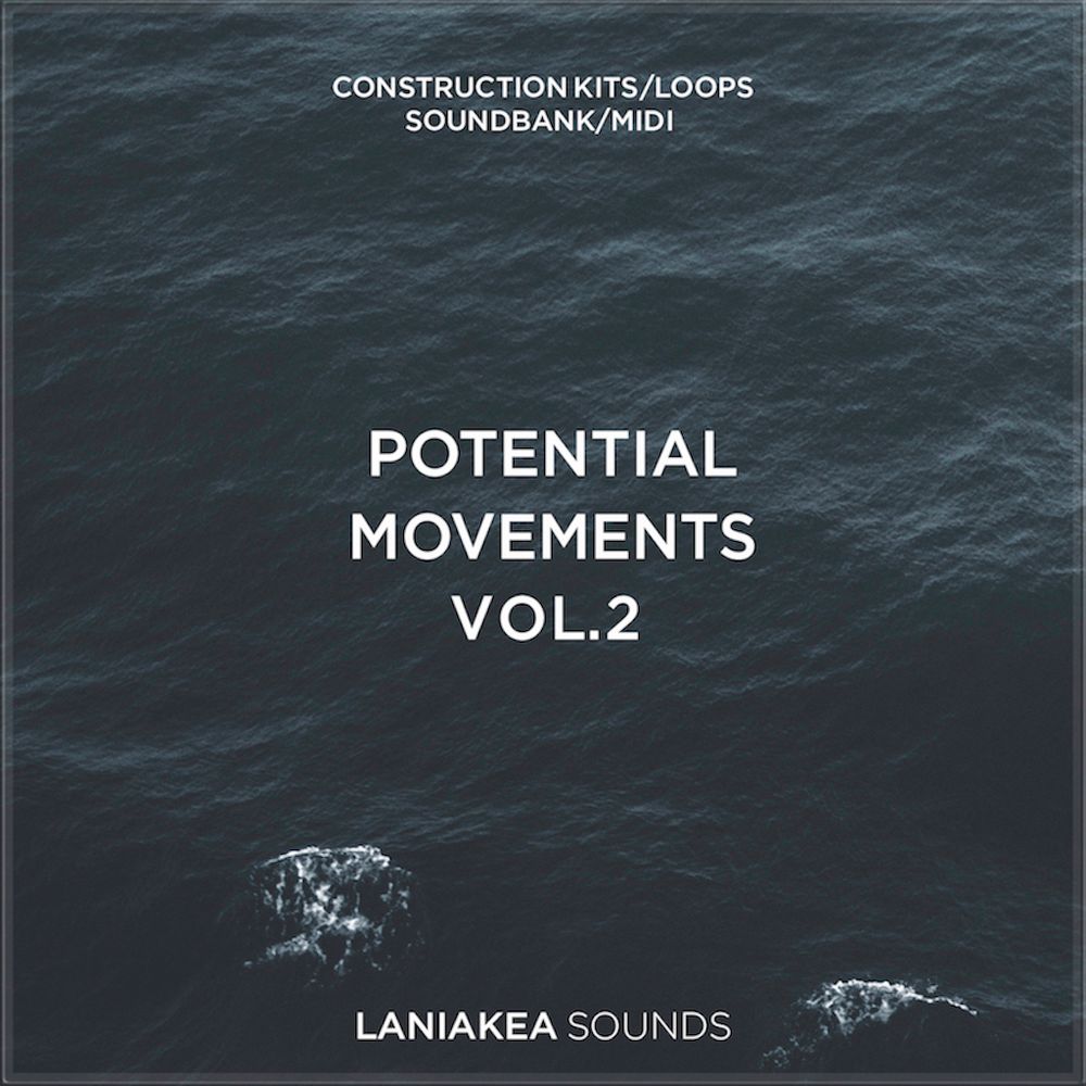 Pochette de Potential Movements 2