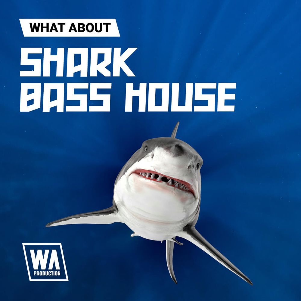 Arte de What About: Shark Bass House