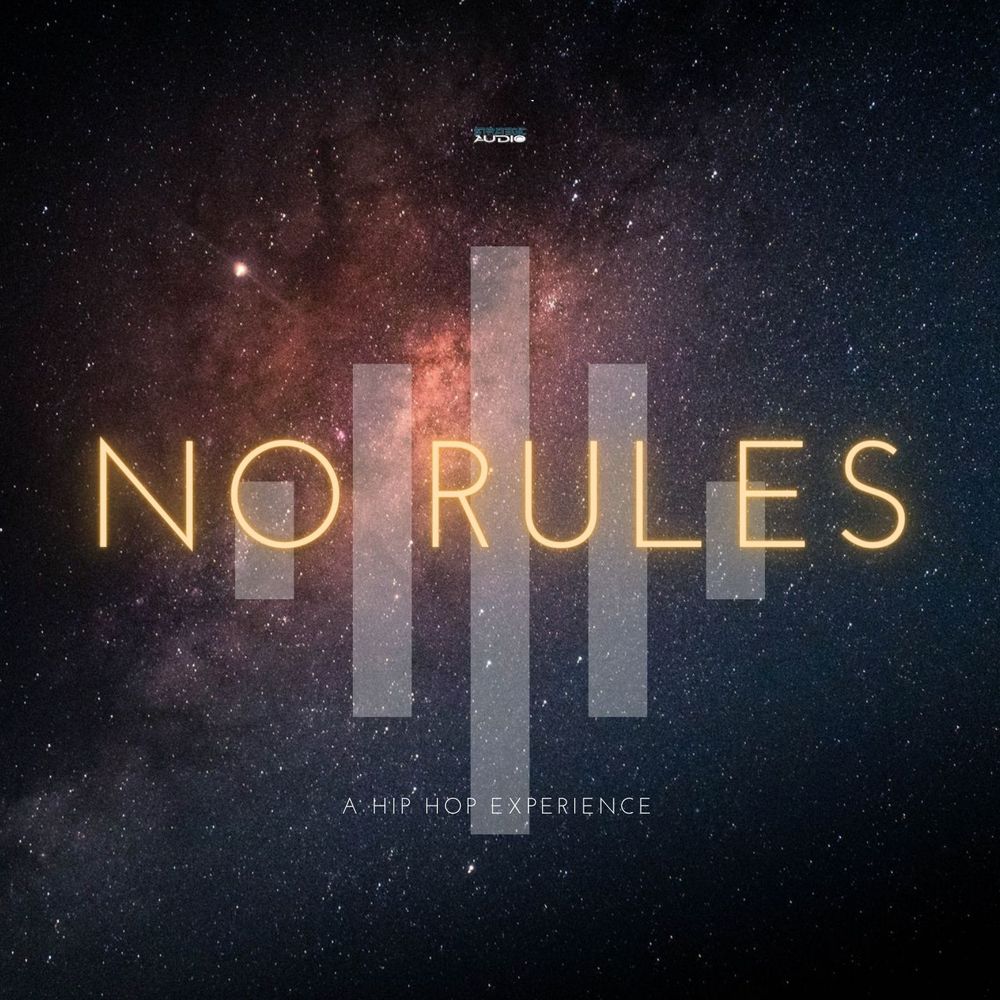 Pochette de No Rules